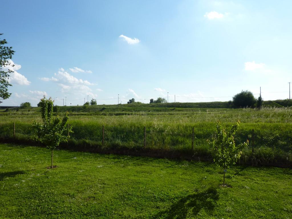 Azienda Agricola Marin Este Exteriér fotografie